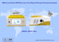 Pemulihan Nyeri Hewan Peliharaan Perangkat Laser Terapi Hewan Laser Diode 980nm