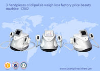 3 Handpieces Cryolipolysis Slimming Machine, Peralatan Berat Badan Kecantikan CR02