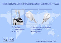 2.3KVA Body Slimming 220v 300µS EMS Stimulator Otot