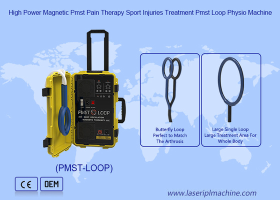 Double Loop PMST Neo Physical Magnetotherapy Mesin Penghilang Nyeri