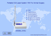 Portable Lcd Veterinary Co2 Laser Untuk Pembedahan Hewan