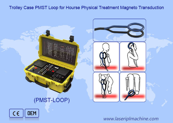 Fisioterapi Magneto Terapi Medan Magnetik Dengan Osilasi 4500 HZ