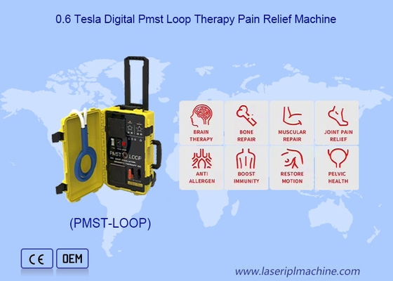 Area Pengobatan punggung Mesin Magneto Therapy untuk meringankan nyeri tubuh