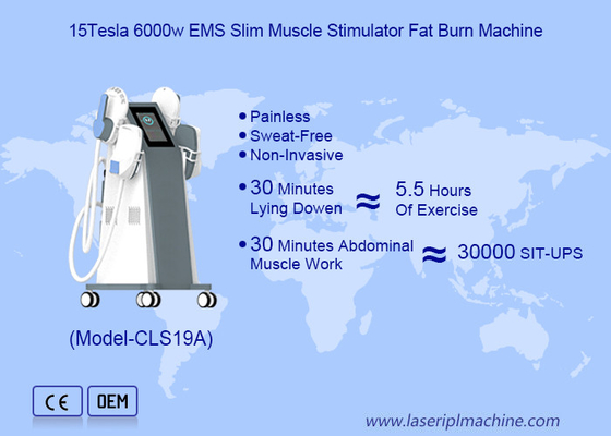 Tesla EMS Mesin Patung Untuk Pembakaran Lemak dan Body Sculpting