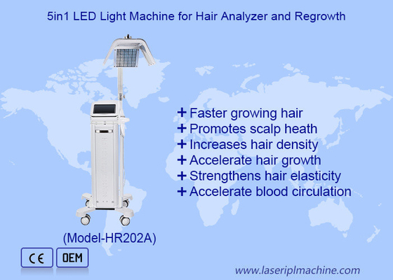 8 Inches Bio Energy Ultra Pulse Laser Mesin Pertumbuhan Rambut