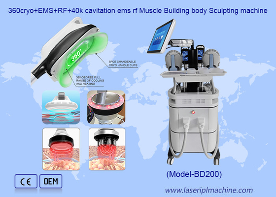 2 In 1 Sellulit Penghapusan EMS Pembentukan Otot Cryotherapy Mesin Penurunan Berat Badan