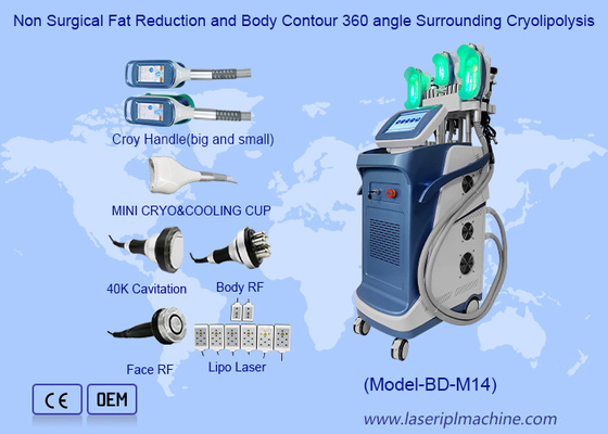 Pengurangan Lemak Tanpa Bedah dan Kontur Tubuh Sudut 360 Sekitar Cryolipolysis