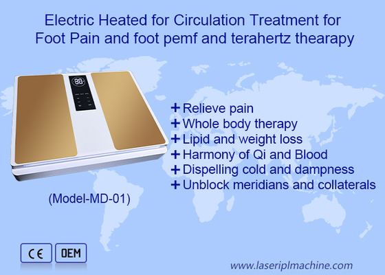 2in1 EMS Perawatan Kesehatan Terahertz Untuk Pijat Kaki Mesin Terapi Terahertz