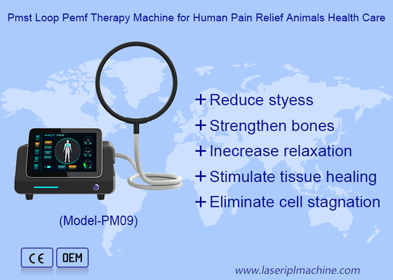 Mesin Magnetik Terapi Magnetik Portable High Intensity