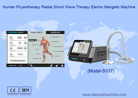 Pain Relief Muscle Bone Tissue Regeneration Treatment Extracorporeal Shockwave Machine