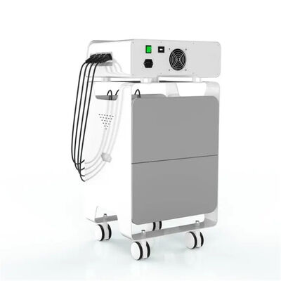 Harga yang bagus Peralatan Eswt Frekuensi Radio Ems Perawatan Kesehatan Pereda Nyeri Punggung on line