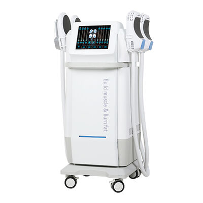 Harga yang bagus Stimulasi Otot Elektromagnetik Penciptaan Tubuh Penurunan Berat Badan Mesin Neo RF Emslin on line