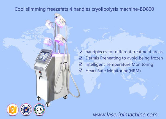 Harga yang bagus 4 Menangani Mesin Cryolipolysis Penurunan Berat Badan / Pembekuan Lemak Vakum Mesin Pelangsing on line