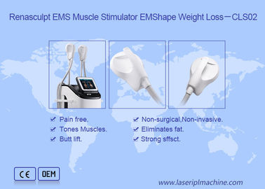2.3KVA Body Slimming 220v 300µS EMS Stimulator Otot