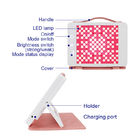 PDT Led Red Light ODM Home Use Perangkat Kecantikan Untuk Wajah