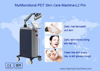 ODM Facial Lifting Skin Rejuvenation Pdt Light Therapy Machine