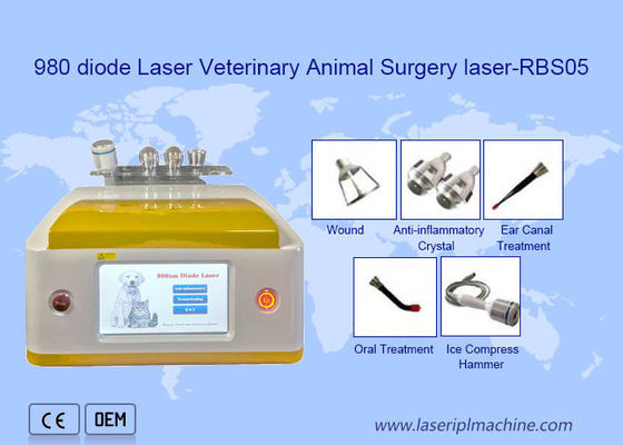 Harga yang bagus Klinik Menggunakan Mesin Penghapusan Hewan Laser Dioda 980nm Portabel on line