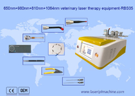 650nm 810nm 980nm 1064nm Diode Laser Hair Removal Portabel Untuk Penggunaan Hewan