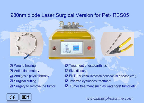 Harga yang bagus Versi Bedah Penghilang Rambut Laser Dioda Portabel 980 Nm Untuk Kecantikan Hewan Peliharaan on line