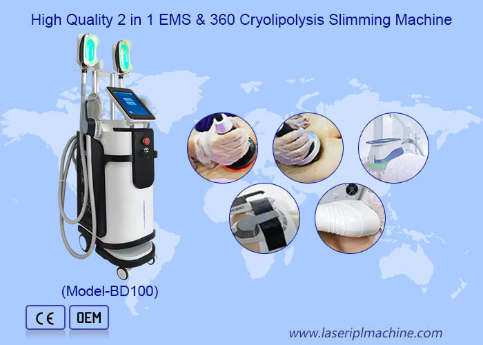 Spa 360 Cryolipolysis Slimming Machine Lemak pembekuan Electro Magnetic body Slim Stimulasi otot tubuh