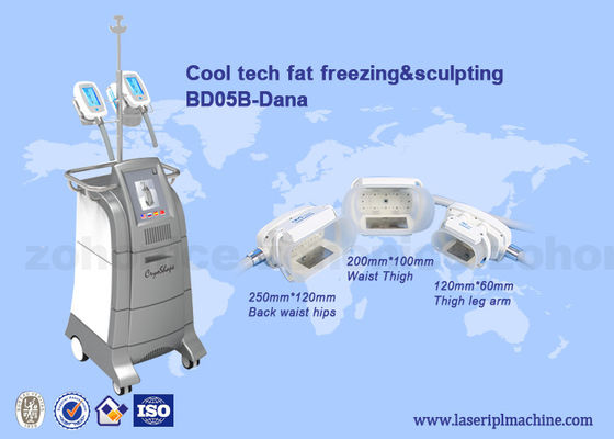 Harga yang bagus 3 Size handles cryolipolysis cool slim body sculpting equipment / criolipolisys machine on line