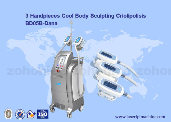 Harga yang bagus Vacuum Cryolipolysis / Cool Body Sculpting Membrane / Criolipolisis Cellulite Reduction Machine on line