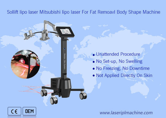 Harga yang bagus 220v Mesin Cryolipolysis Portabel 6d Lipolaser Zerona Beauty on line