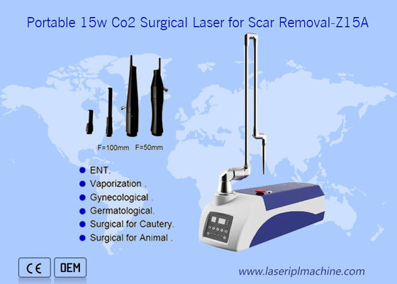 Mesin Penghilang Bekas Luka Kulit Laser Bedah Portabel 10600nm CO2 Untuk Hewan Peliharaan