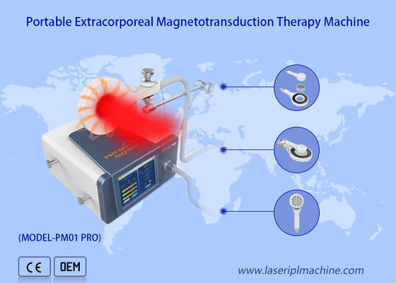 Harga yang bagus Mesin Terapi InfraMerah Magneto Peredaran Darah Penghilang Rasa Sakit Laser Fisiologi on line