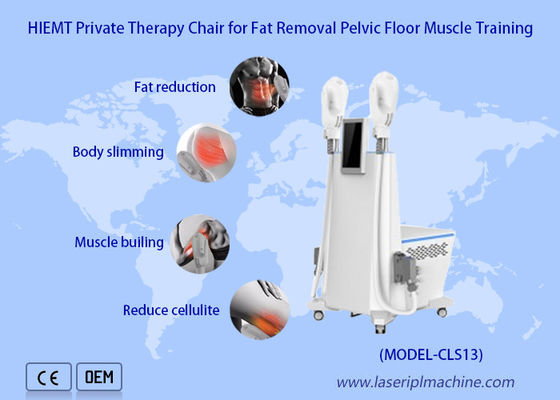 Harga yang bagus 2 Pegangan Buttbuck Lifting Weight Loss Ems Mesin Sculpting Muscle Massage on line