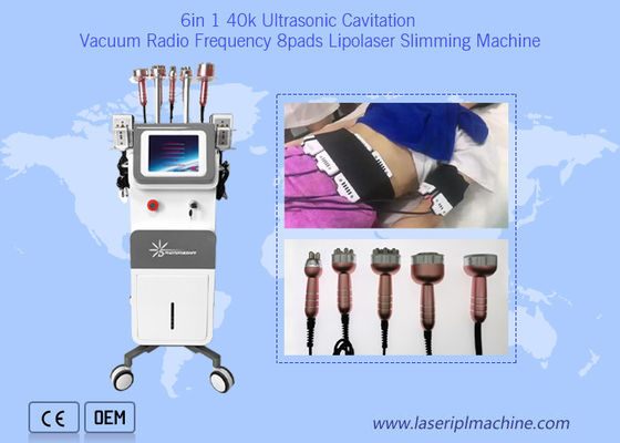 Harga yang bagus Mesin Pelangsing Tubuh Kavitasi Rf 40k Ultrasonic Lipo Laser Pads on line