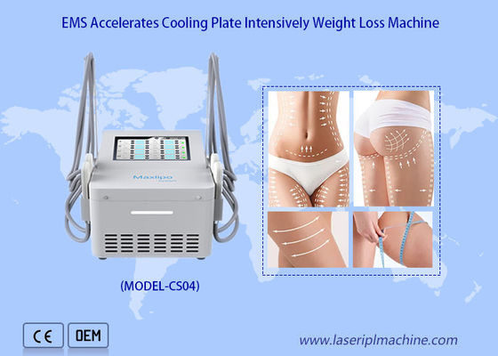 Harga yang bagus Mesin EMS Fat Reduce Cryo Plate dengan 4 Bantalan Pendingin on line