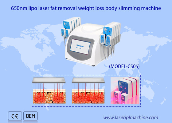 Portable 650nm Mesin Laser Lipo Ultrashape Pelangsing Tubuh Penurunan Berat Badan