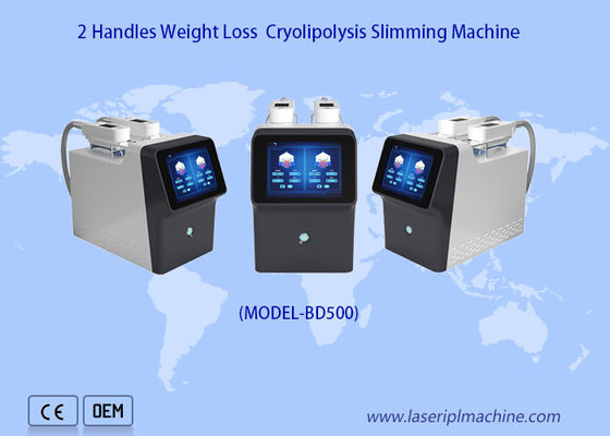 Harga yang bagus 360 Derajat 2 Menangani Mesin Pelangsing Cryolipolysis Portable Weight Loss on line