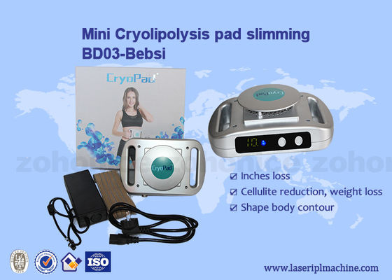 Harga yang bagus Rumah Menggunakan Mesin Cryolipolysis Mini 220v / 110v Slimming on line