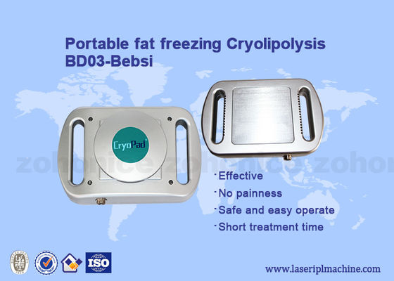 Harga yang bagus Fat Reduce Cryolipolysis Portable cryolipolysis Slimming Machine on line