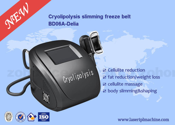Harga yang bagus Portable Body Sculpting Cryolipolysis Slimming And Weight Loss Machine on line