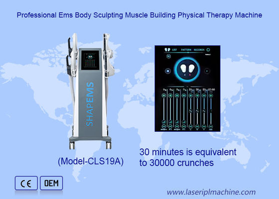 Harga yang bagus 2-4 Minggu Pengobatan Stimulator Otot Lantai Pinggang untuk Rumah Sakit on line