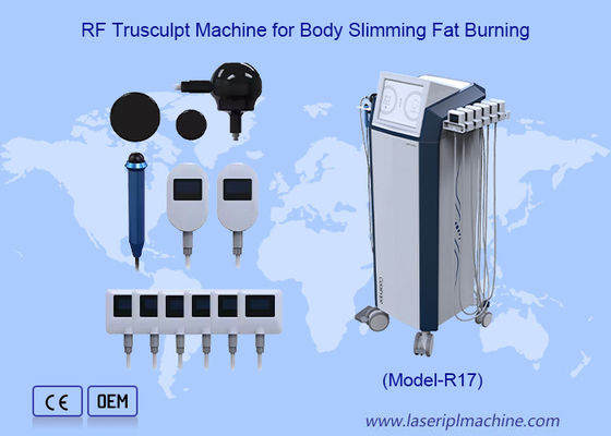 Harga yang bagus Trusculpt Flex 3D Ringankan Berat Badan dan Wajah Mesin Trusculpt RF on line