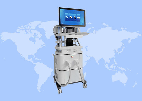 Harga yang bagus 2 In 1 Sellulit Penghapusan EMS Pembentukan Otot Cryotherapy Mesin Penurunan Berat Badan on line