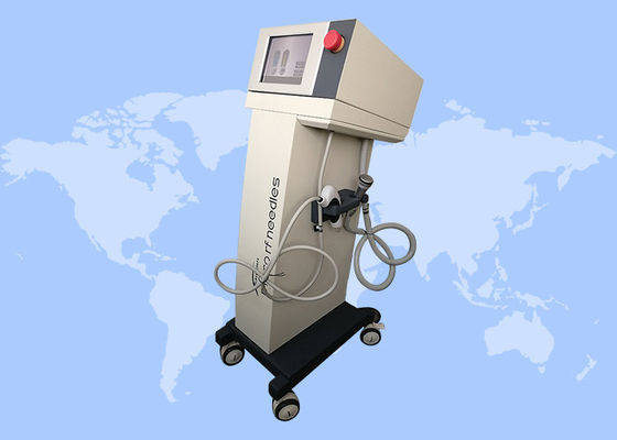 Harga yang bagus Penghapusan kerutan Penghapusan tanda regangan Anti-penuaan Microneedling Mesin RF Fraksi on line