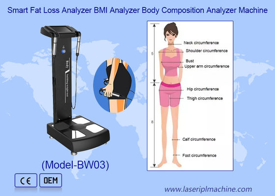 Harga yang bagus Full Body Health Scanner Body Element Measuring Component Analyzer Mesin on line