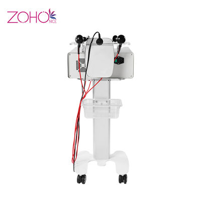 Harga yang bagus Pisau Lemak Tubuh Membentuk Peremajaan Kulit 220v Rf Mesin Kecantikan RET CET on line