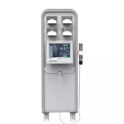 Harga yang bagus Terapi Fisik Cryolipolysis Mesin Gelombang Kejut Mengurangi Lemak Extracorporeal on line