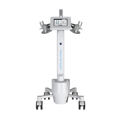 Harga yang bagus 532nm Green Light Lipo Laser Machine Penurunan Berat Badan Penghapusan Selulit on line