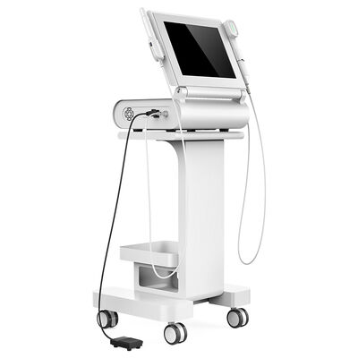 Harga yang bagus 15 Inches Screen 2 In 1 Ultrasound Face Lift Machine / Vaginal Tightening Equipment on line