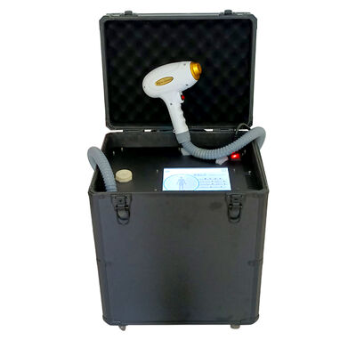 Harga yang bagus Mesin Penghilang Bulu Dioda Portabel Tanpa Rasa Sakit 755nm 1064nm 808nm Permanen on line