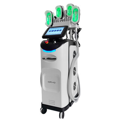 Harga yang bagus Professional Cryolipolysis Slimming Machine Weight Loss Beauty Equipment on line