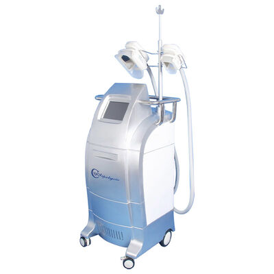 Harga yang bagus Vacuum Cryolipolysis / Cool Body Sculpting Membrane / Criolipolisis Cellulite Reduction Machine on line