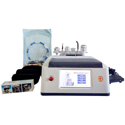 Harga yang bagus Penggunaan Hewan Portable 980nm Diode Laser Machine Fungsi Multifungsi Putih on line